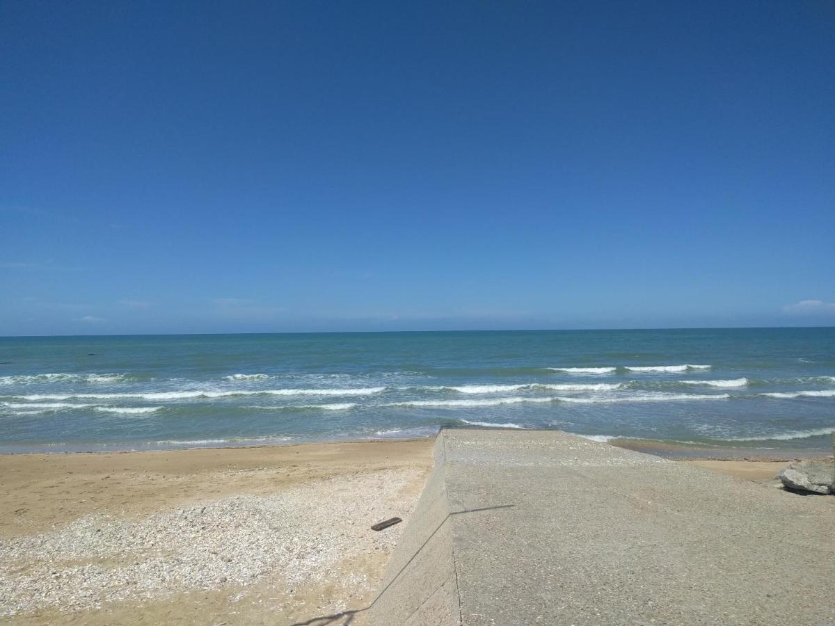 "Le Cocon D'Estelle" Grand Studio Vue Mer, 30M De La Plage Villers-sur-Mer Εξωτερικό φωτογραφία